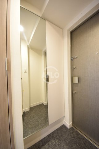 プレサンス谷町九丁目ディセオの玄関|プレサンス谷町九丁目ディセオ　姿見