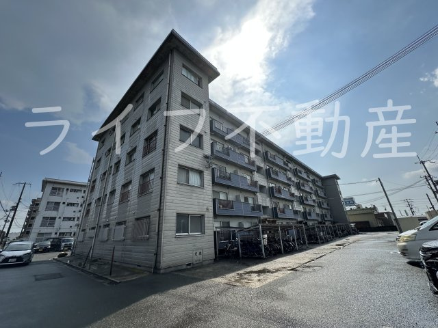 PALMIZIO瓢箪山