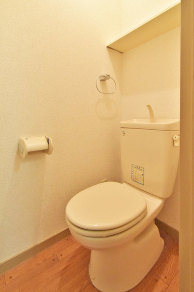 レザンドールⅡ（仲介手数料無料）のトイレ|落ち着いたトイレです