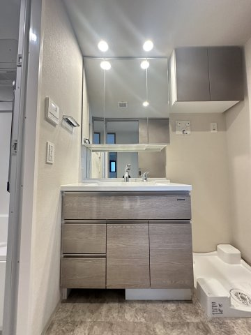 SK RESIDENCES SHINSAIBASHI (旧 SK RESIDENCE)の洗面所