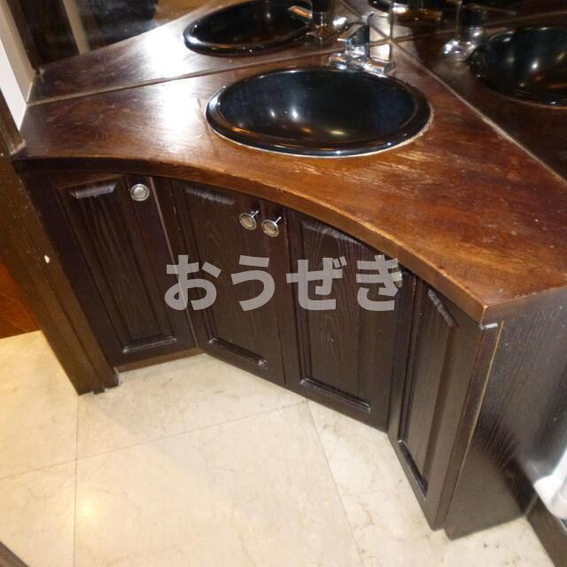 カーサ元町の洗面所