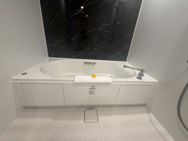アラマハイナコンドホテルのその他