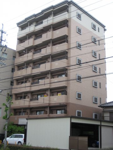 ファレノプシス