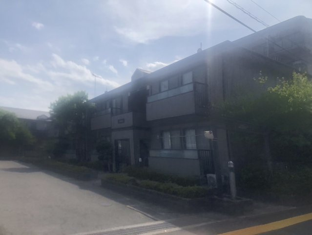 【その他】 | ポピュレール