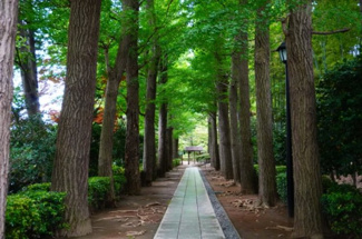 【周辺】 | 杉並区南荻窪1丁目　新築戸建　14800万円 | 大田黒公園