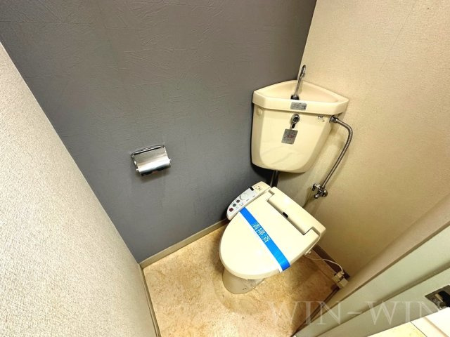 トーシンハイツ向山のトイレ|イメージ（同建物内別部屋の写真です）