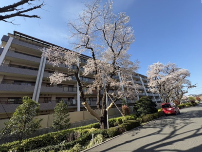 【外観】レールシティ八王子かえで通り 