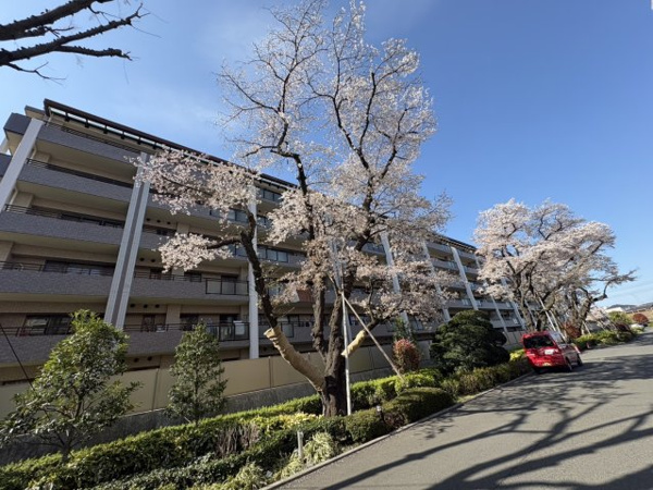 レールシティ八王子かえで通りの画像