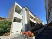 IB HALの画像