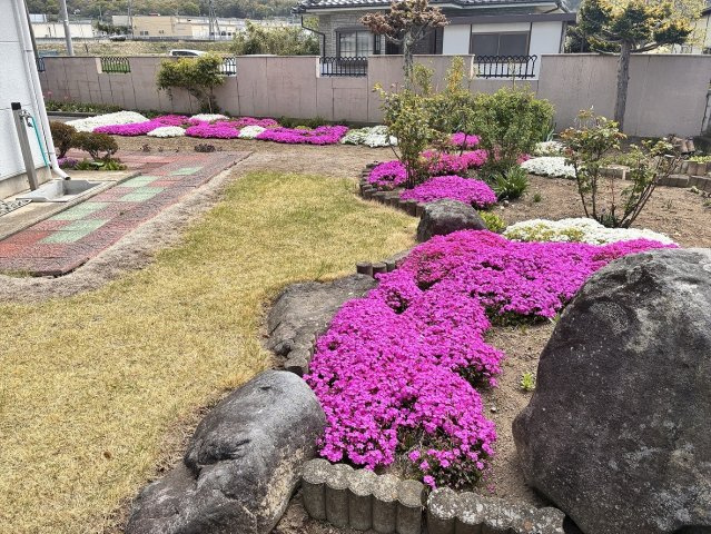 芳田戸建中古の庭