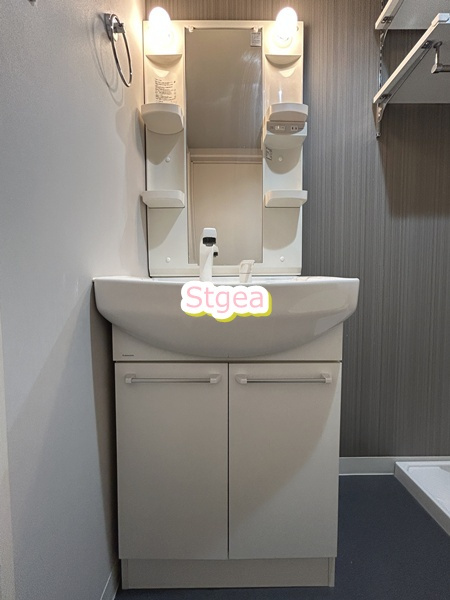 パルレザンド宮原の洗面所