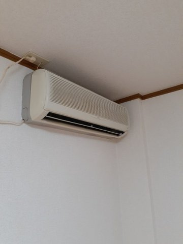 カリーノのその他