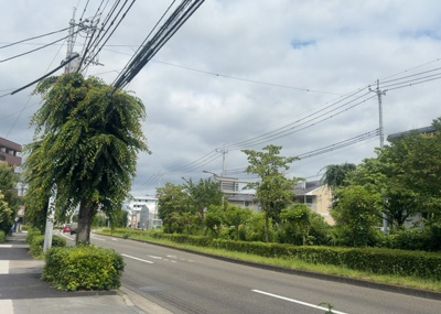 【展望】 | ビッグヴァン京王堀之内参番館 | 眺望の良さを楽しめるダイニングキッチンで家族団らんの時間を過ごしてはいかがでしょうか。バルコニーから見える景色を家族で眺める時間は、時間が経つのを忘れてしまいそうですね。是非、現地を見に行きましょう！
