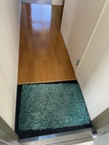 ドリームハイツの玄関