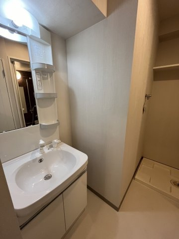 福岡市博多区博多駅南３丁目の賃貸マンションの洗面所