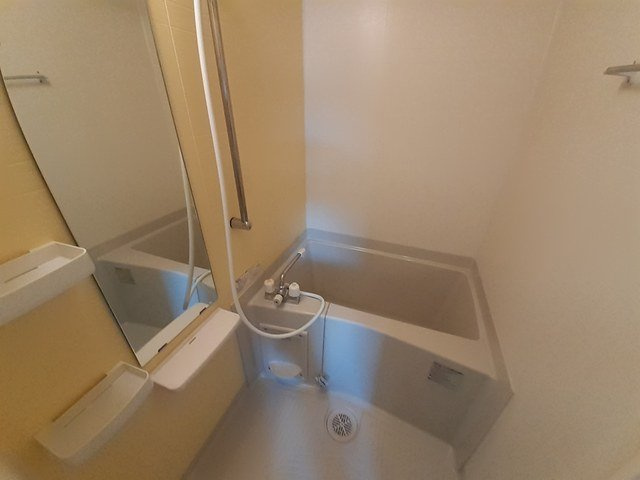 アベニュー