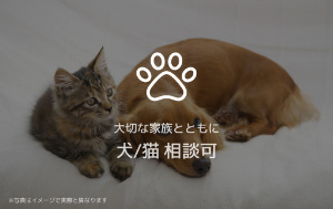 ジェイエイチエスプレミア学園前のその他