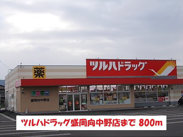 ボン　ソレイユの周辺|ツルハドラッグ盛岡向中野店まで800m