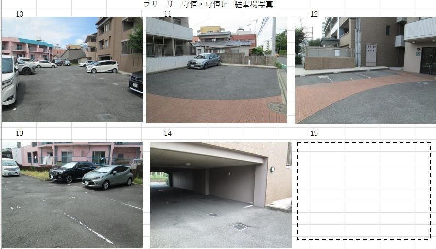 フリーリー守恒の周辺