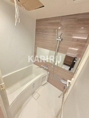 ブエナビスタ阿波座タワーの浴室