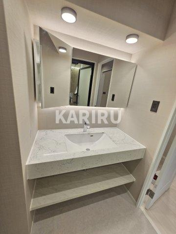 ブエナビスタ阿波座タワーの洗面所