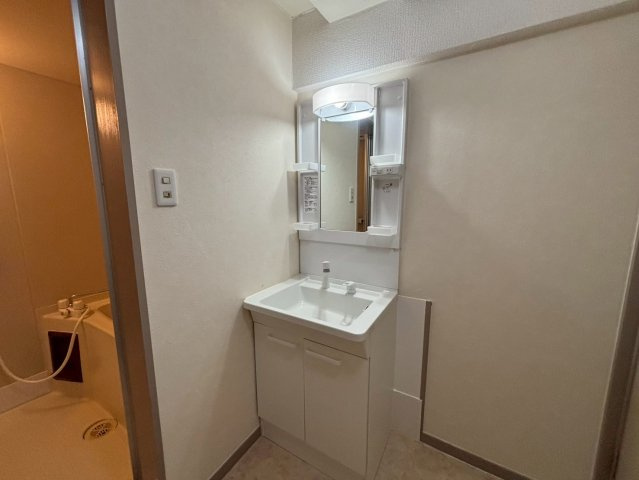 ヤナギマンションの洗面所