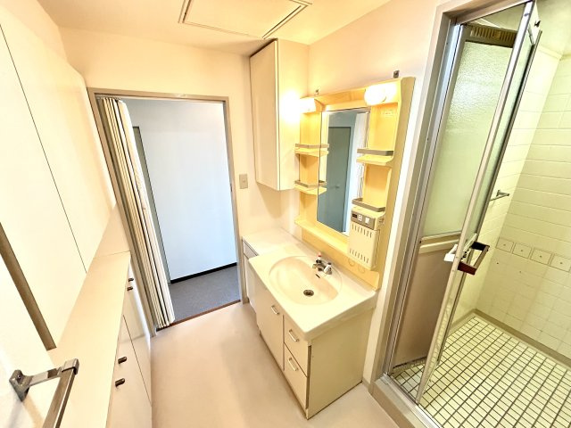 サンタウン御屋敷弐番館の洗面所