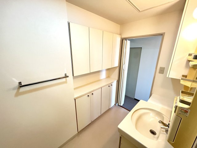 サンタウン御屋敷弐番館の洗面所