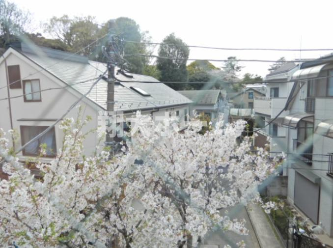 Ｃａｓａ　Ｓｅｌｖａの展望