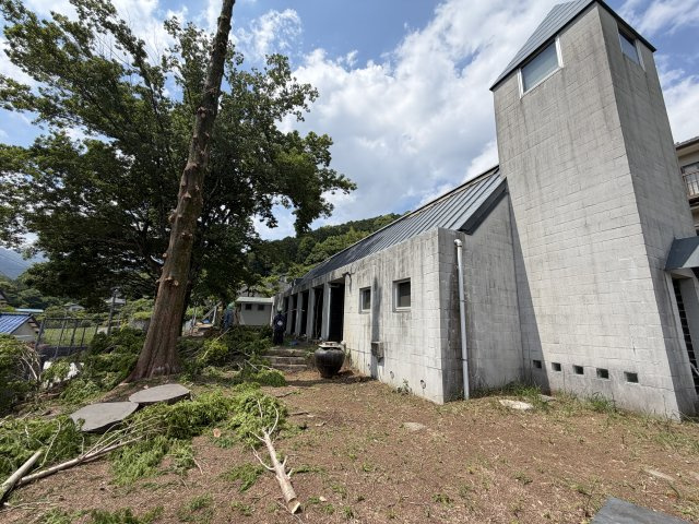湯河原町宮上　売保養所の庭|現在木を伐採中です。