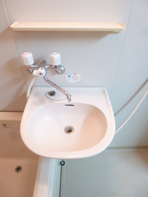 ヘーベルメゾン２１Ａ、Ｂの洗面所|洗面台