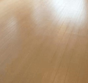 セラウトの内装
