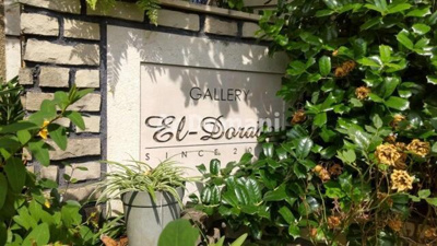 【エントランス】 | ＧＡＬＬＥＲＹ　Ｅｌ－ｄｏｒａｄｏ |  