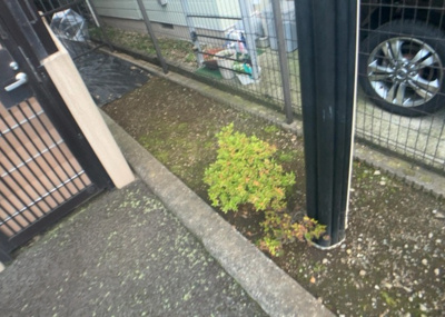 【中庭】 | ライオンズマンション小田急相模原 | 中庭（パティオ）とは、一つの建築物の内部に設けられた、壁などで囲われている庭のことを指します。コの字型、ロの字型が主流ですが、L字型の中庭もあります。最近では、インテリア性の高さからも人気があります。