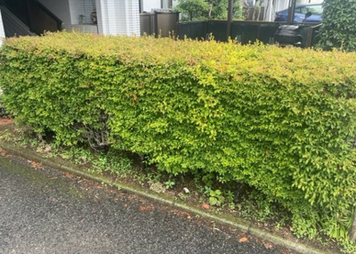 【庭】 | サンシャインⅡ座間 | 物件によっては、入居者が個人的に使用できる専用庭がついているものもあります。また、住宅の中にある土間の部分を庭と呼ぶこともあります。庭の用途は住む人によって変わり、それによってデザインもさまざまです。