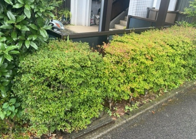 【中庭】 | サンシャインⅡ座間 | 中庭（パティオ）とは、一つの建築物の内部に設けられた、壁などで囲われている庭のことを指します。コの字型、ロの字型が主流ですが、L字型の中庭もあります。最近では、インテリア性の高さからも人気があります。