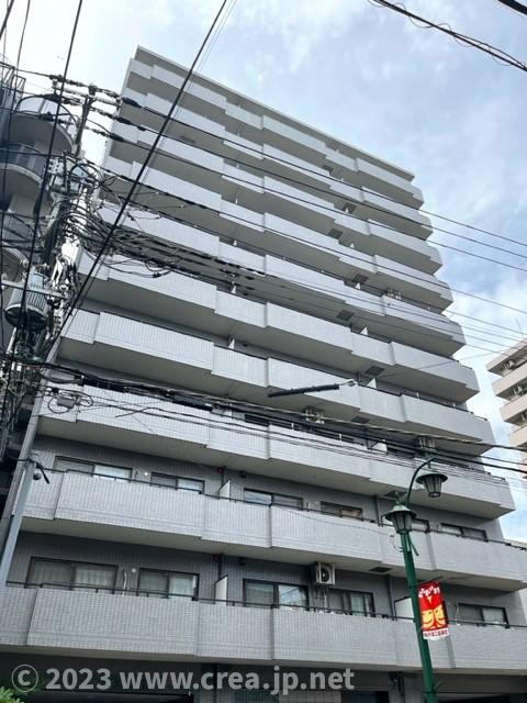 スカイビュウ11の外観