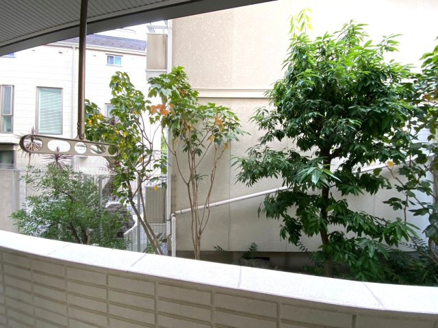 カーサビアンカの展望