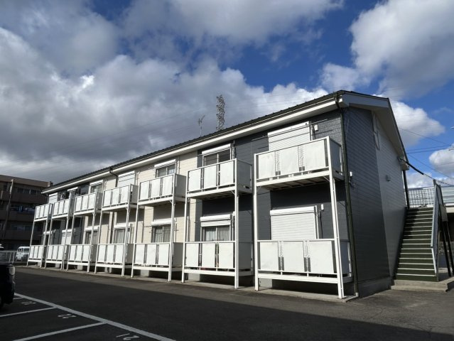 サープラスワン蘭B