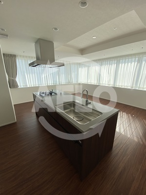 RJR堺筋本町タワー　開平小学校区のキッチン|RJR堺筋本町タワー　アイランドキッチン