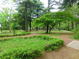 江古田の森公園まで450m