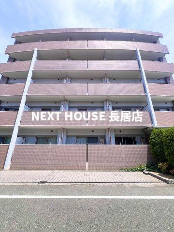 コンフォール平野