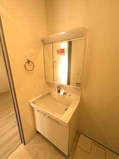 忙しい朝も嬉しいシャワー付き洗面台