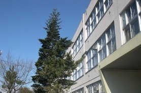 ジュネス元町の周辺|明園小学校まで81m