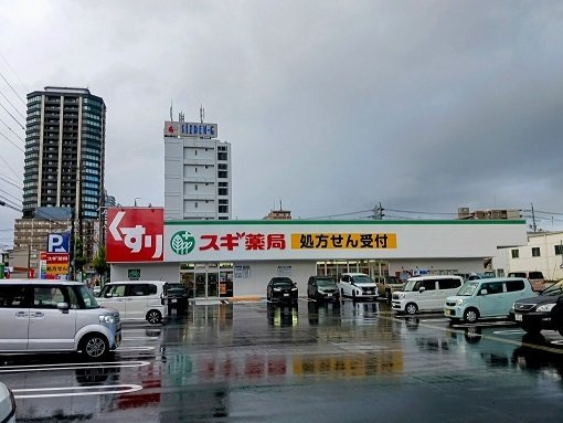 グレイスコモンズ東静岡の周辺|スギ薬局東静岡店まで400m