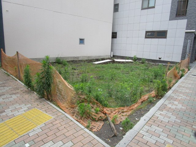 台東区千束３丁目の売地