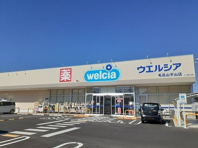 キャトル　セゾンの周辺|ウエルシア毛呂山平山店まで650m