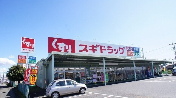サニースポットの周辺|スギドラッグ 飯能店まで1100m