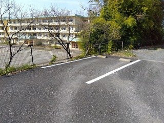 レオネクストスピネルのその他