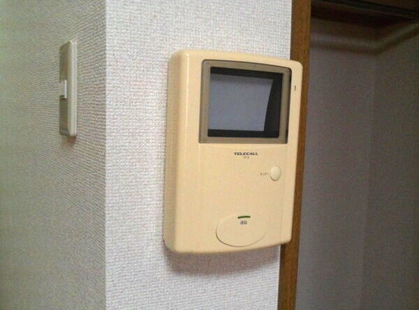 アムールMINERVAのセキュリティ